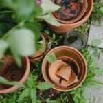 The Power of Fragility: Finding Strength in Biblical Weakness