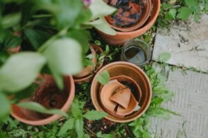 The Power of Fragility: Finding Strength in Biblical Weakness