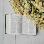 The Proverbs 31 Woman: Wisdom and Strength in Marriage