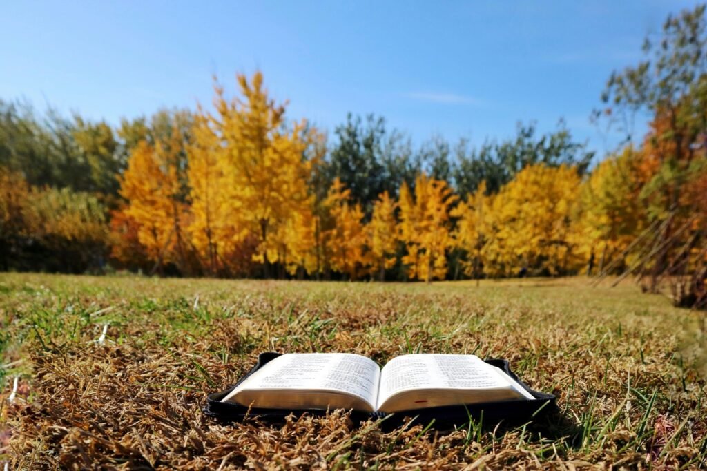 Walking by Faith: Trusting God Beyond What We See