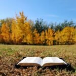 Living in the Overflow: Understanding Biblical Abundance