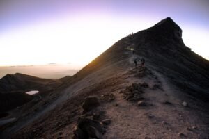What Does the Bible Say About Faith? A Beginner’s Guide