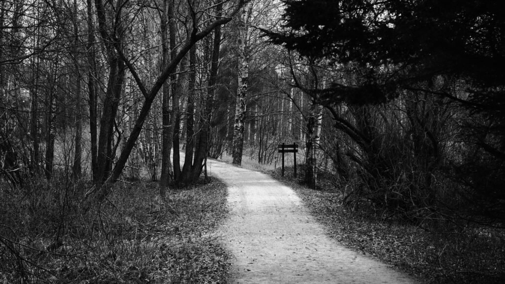 Walking in His Light: A Biblical Study of Our Paths