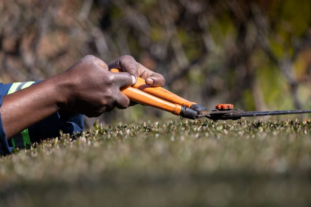 Bible Verse Pruning: Cultivating Depth in Your Quiet Time
