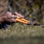 Bible Verse Pruning: Cultivating Depth in Your Quiet Time