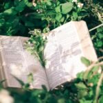 The Song of Songs: A Divine Reflection on Love and Covenant