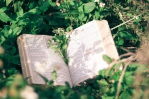 The Song of Songs: A Divine Reflection on Love and Covenant