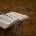 Stewardship of the Soul: A Biblical Approach to Self-Care