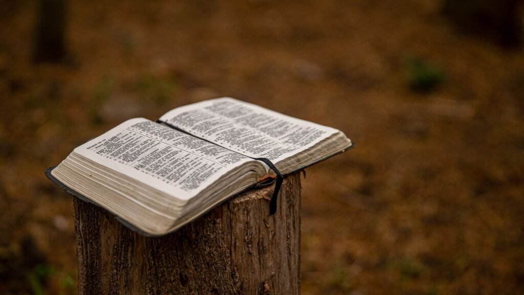 Waiting in the Silence: Finding God’s Grace in Infertility