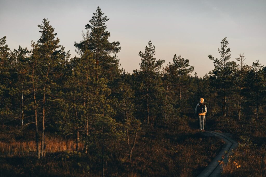 Wandering Hearts: Finding Direction in the Wilderness of Faith