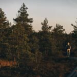 Wandering Hearts: Finding Direction in the Wilderness of Faith