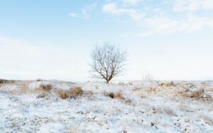 Finding God’s Grace in the Stillness of Winter